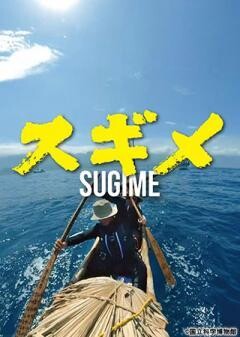スギメ（３万年前の航海 徹底再現プロジェクト）