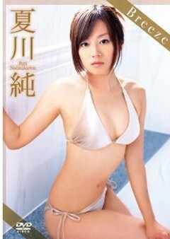 夏川純「Breeze」