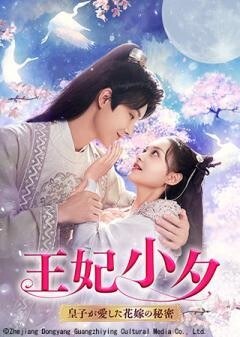 王妃小夕〜皇子が愛した花嫁の秘密〜（全7話）(字幕)