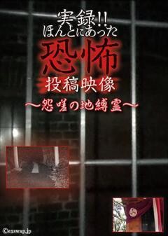 実録!!ほんとにあった恐怖の投稿映像 〜怨嗟の地縛霊〜
