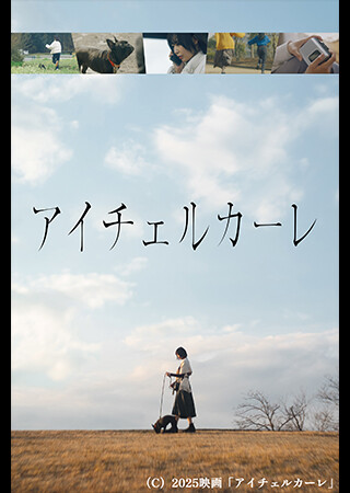 アイチェルカーレ