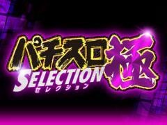 パチスロ極SELECTION