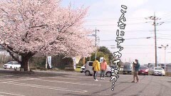 #530 おもスロ/P真・北斗無双 第3章 ジャギの逆襲/Pとある魔術の禁書目録 Light PREMIUM ver./PFゴルゴ13 Light ver.「2022年」