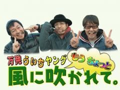 万発・ういち・ヤング もうちょっと風に吹かれて。