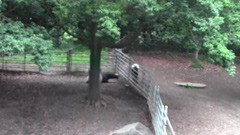 #3 動物園