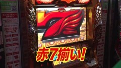 #231 黄昏☆びんびん物語/凱旋/ハーデス/ウルトラセブン2ライト