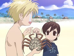 第八話 太陽と海とﾎｽﾄ部