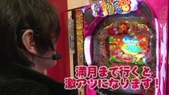 #49 ビジュR1/ＣＲスーパー海物語ＩＮ沖縄４ＭＴＣ