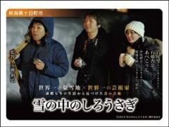 雪の中のしろうさぎ