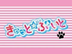 きゃっと☆ふぁいと