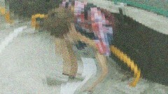 実録！！ほんとにあった恐怖の投稿映像　26