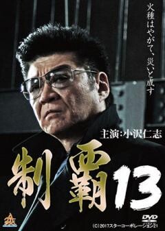 制覇13