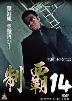 制覇14