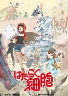 はたらく細胞 特別編 風邪症候群