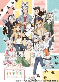 うちタマ?! 〜うちのタマ知りませんか？〜